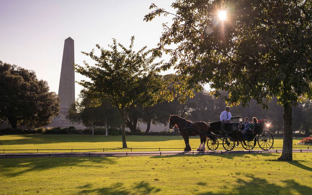 Major US popstar spotted frolicking with deer in Phoenix Park and pulling pints of Guinness
