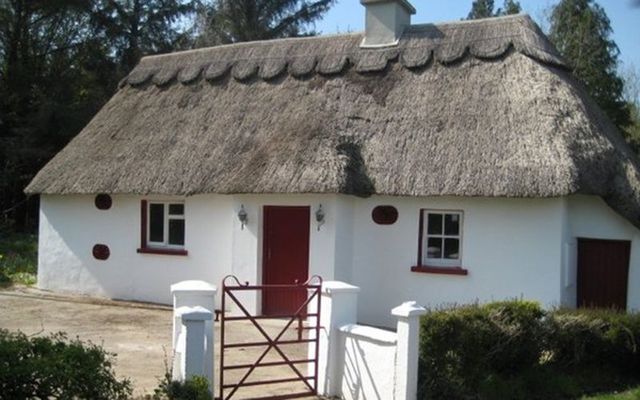 Irish Traditional Thatched Cottage In Forest For Sale