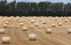 Irish drought a result of dreadful water management for decades 