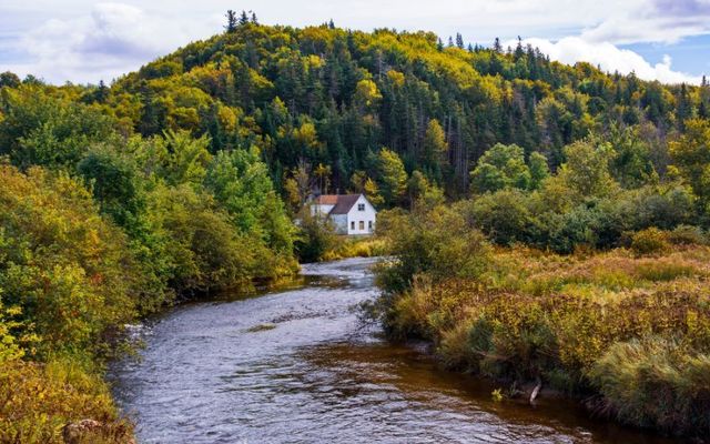 House in the woods near a river in rural Nova Scotia\'s region of Cape Breton Island.