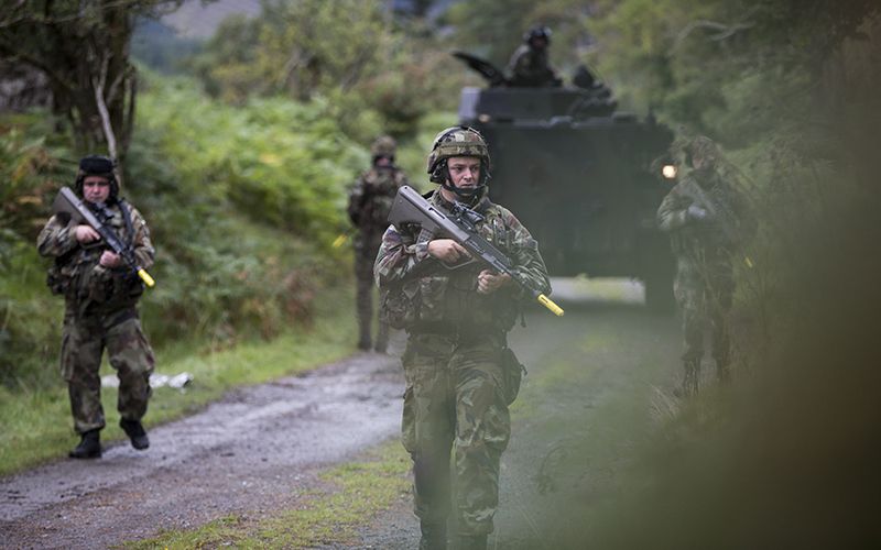 Young Irish work for Viagra or McDonalds rather than the Defense Forces