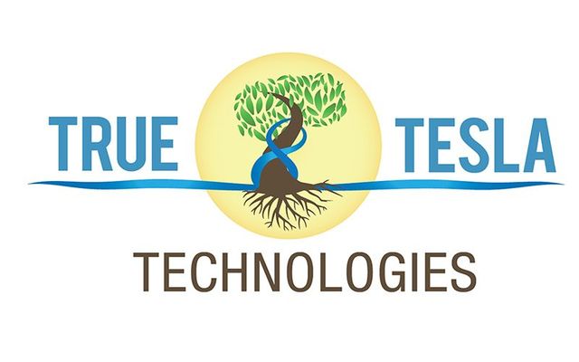 True Tesla Technologies hosting Liberty Festival, Osijek.