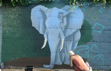 This Irish city wants to transform itself into an open-air gallery