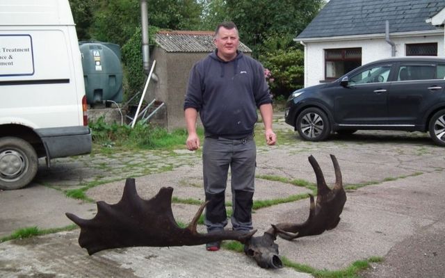 Irish fisherman Raymond McElroy snags the skull of an extinct Giant Irish Elk.