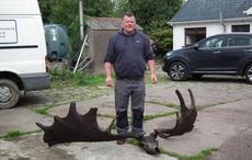When an Ancient Giant Irish Elk antlers was found in a Northern Ireland lake