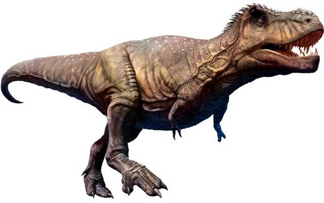 Tyrannosaurus, a type of Theropod.