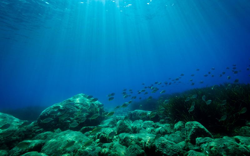 Deep-ocean research of Atlantic Ocean launched in Cork | IrishCentral.com