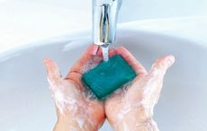 The top ten Irish Spring Soap household hacks