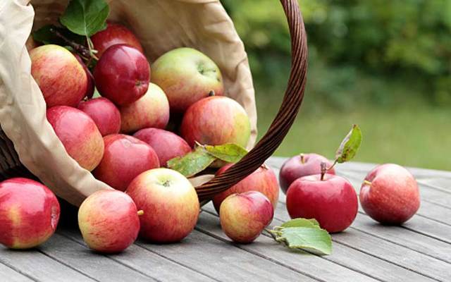 A basket of apples.