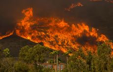 Irish actor narrowly escapes fatal California wildfires