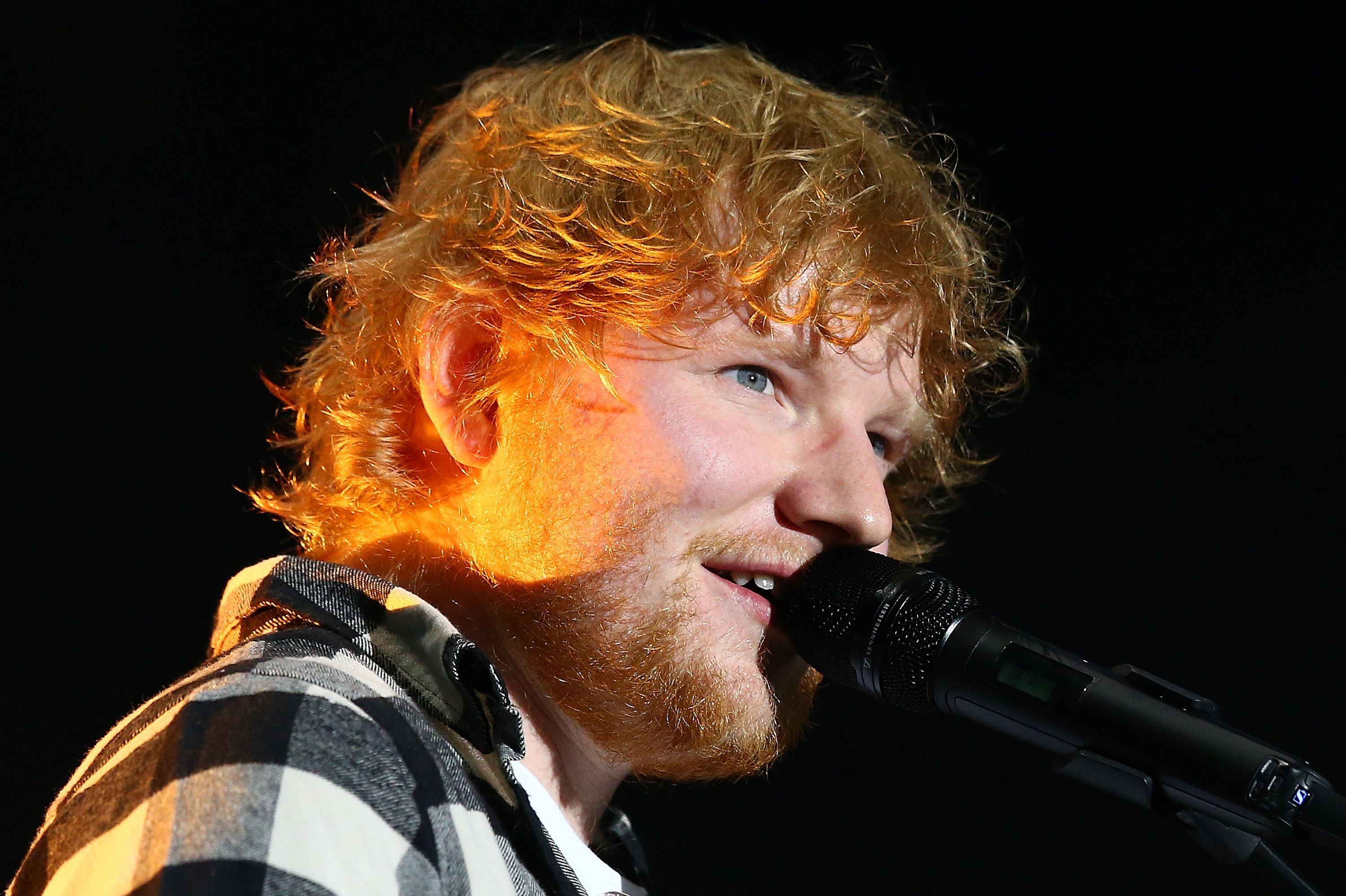 Purrfect: meet Ed Sheeran the cat