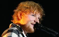 Purrfect: meet Ed Sheeran the cat