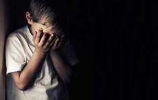 15 more victims of sexual abuse in Scouting Ireland come forward