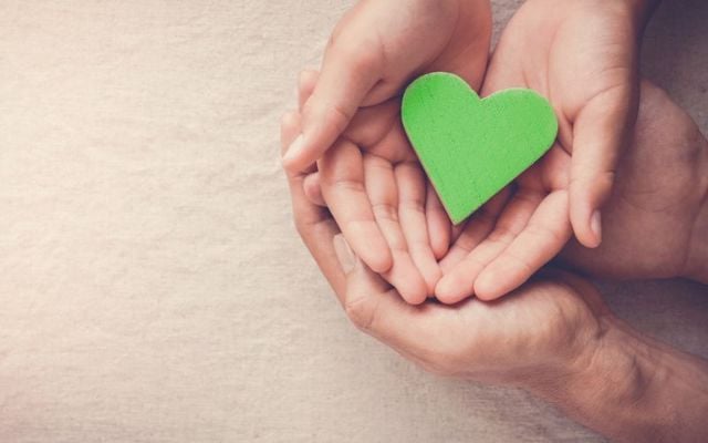 Irish and Irish American charities and causes to support for #GivingTuesday