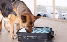 Model who tried to smuggle $1.4 million in heroin into Ireland is put on trial