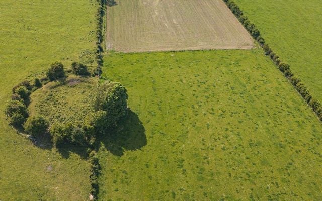 A fairy ring or fairy fort in Co Roscommon.