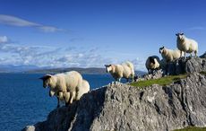 Americans Googled 'trip to Ireland' a lot this year