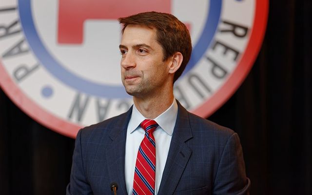 Senator Tom Cotton of Arkansas has emerged as an opponent to the E3 visa bill.