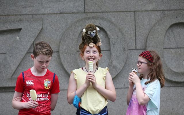 Pictured (LtoR) Evin Curley (11), Anna Reidy (11) and Triona Curley (8) from Co Galway enjoy and ice lollies whilst Anna balances her new Monkey on her head outside Dublin Zoo. 