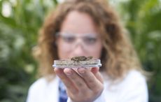 Bacteria found in Irish soil destroyed four out of six superbugs, say scientists 