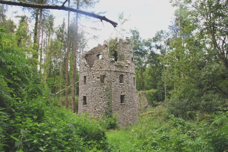 The Irish inventor who returned from America to build his very own Castle Curious
