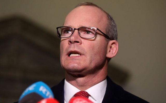 Tánaiste and Foreign Affairs Minister Simon Coveney