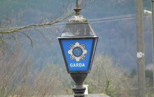 Gardai have launched an investigation into the discovery of skeletal remains in Co Wexford