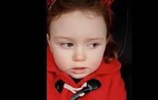 WATCH: Irish little girl uses some shocking language in this side-splitting video