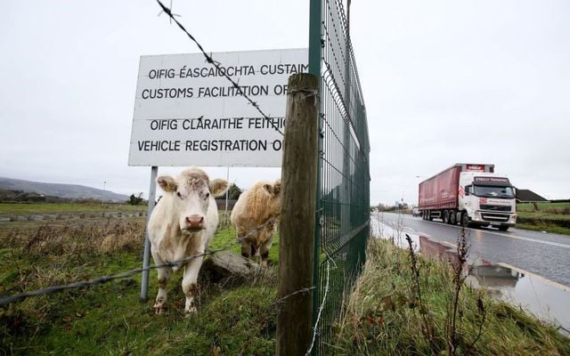 Cows stand under a sign got a disused Irish border vehicle registration and customs facilitation office outside Dundalk, Ireland on November 14, 2018, near the Northern Irish border.