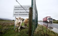 We are not going back to the British border in Ireland