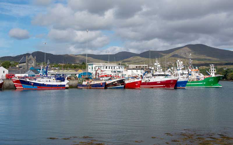Human torso discovered in fishing nets off Cork coast