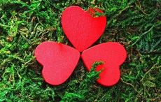 A 1971 Irish love story for Valentine's Day - catching my own Cinderella at the local dance