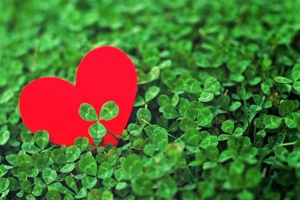 Best places in Ireland to spend Valentine’s Day