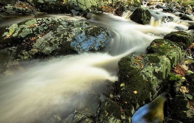 The Fairy Glen in Rostrevor. Are you \'away with the faeries\'?