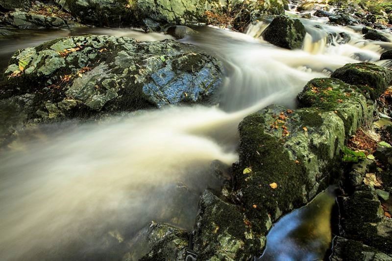 My mission to chronicle the Fairy of Ireland