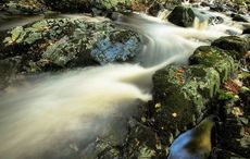 My mission to chronicle the Fairy of Ireland