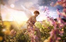 Do you have a fairy in your family?