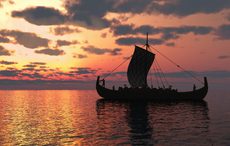 Did the Vikings bring leprosy to Ireland?