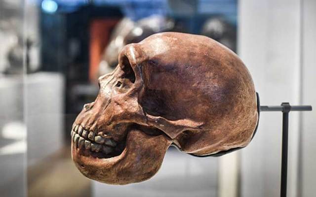 A skull displayed as part of the Neanderthal exhibition at the Musee de l\'Homme in Paris in 2018.