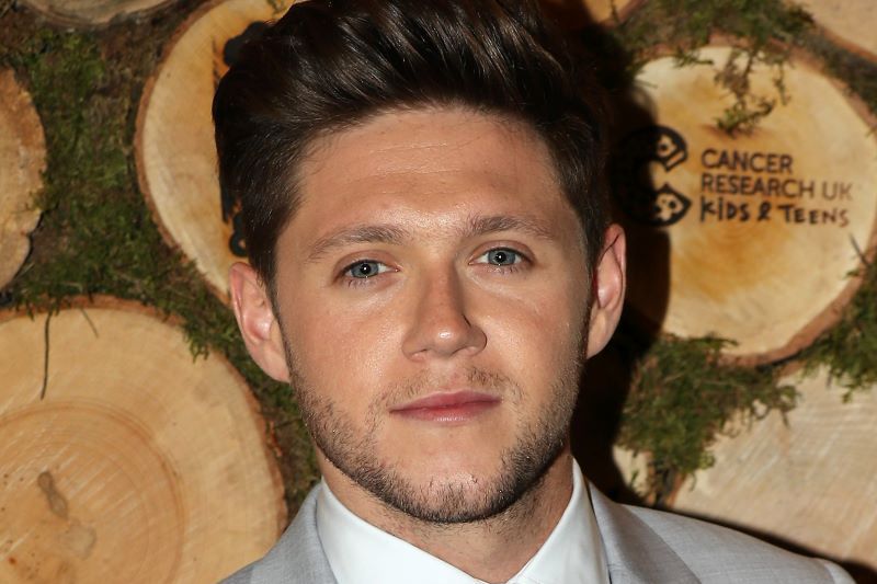 Niall Horan urges fans to be nicer on social media