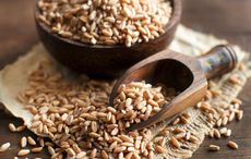 Irish farm wins award for their ‘innovative’ work with ancient grain