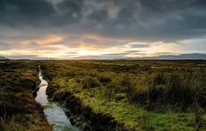 How to make your own bog butter in Ireland