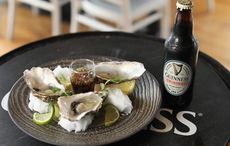 Why Guinness Extra Stout tastes so good with oysters