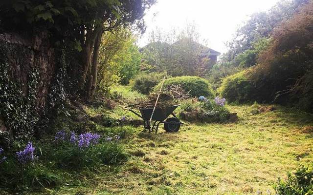 An Irish woman has found a secret garden in her backyard.