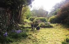 Irish woman’s Instagram secret garden treasure discovery