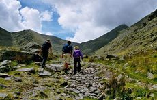 Tracks and trails - what to do in Ireland's Hidden Heartlands