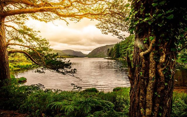 A river flowing through County Mayo reflects the tale of this family\'s lives.