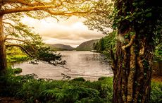 The Mayo river’s story and reflections of a mother’s life