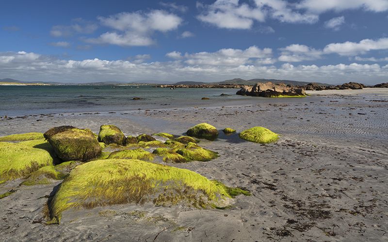 Remote Irish island flooded with inquiries from US about moving there 