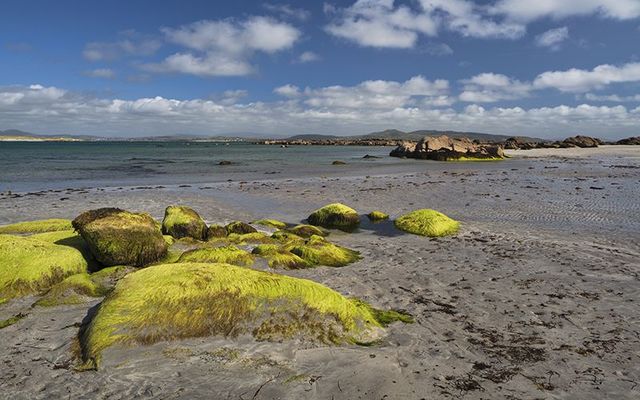 This is remote working: Cloghcor, on Arranmore Island, County Donegal.